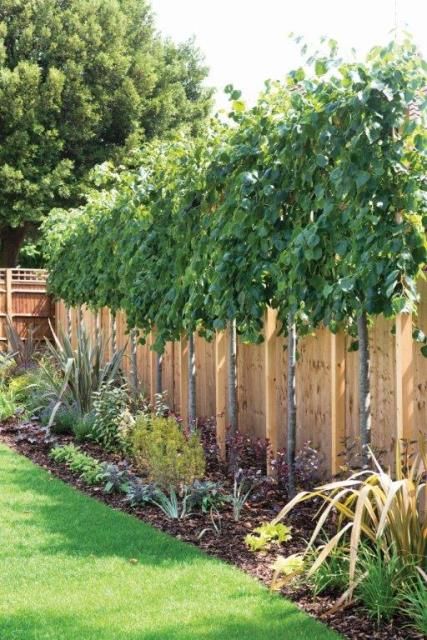 a wooden fence surrounded by lush green grass