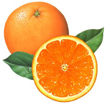 two oranges with leaves and one cut in half