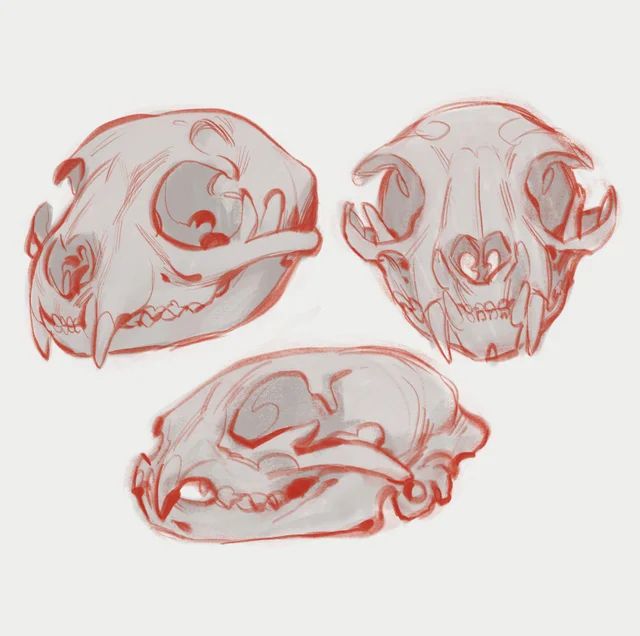 three skulls are shown in red ink on a white background, and one is drawn to look like an animal's head