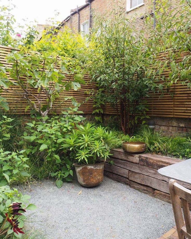 an outdoor garden with plants and wooden fenced in area next to the house,