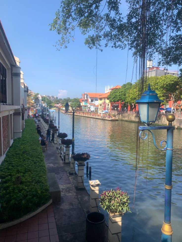 a row of benches along the side of a body of water with plants growing on it