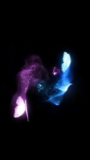 two blue and purple butterflies in the dark