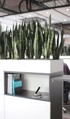 an office cubicle with plants in it