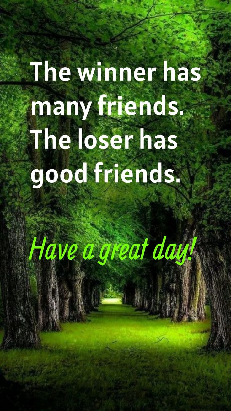 the winner has many friends the losser has good friends have a great day quote