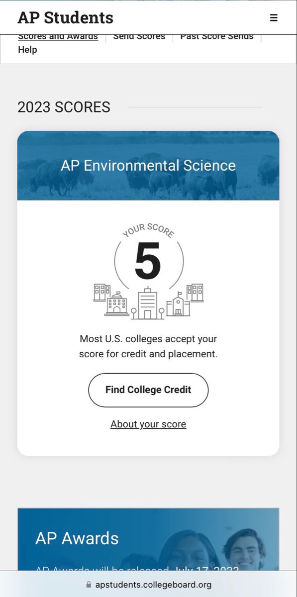 the student's score page for ap students