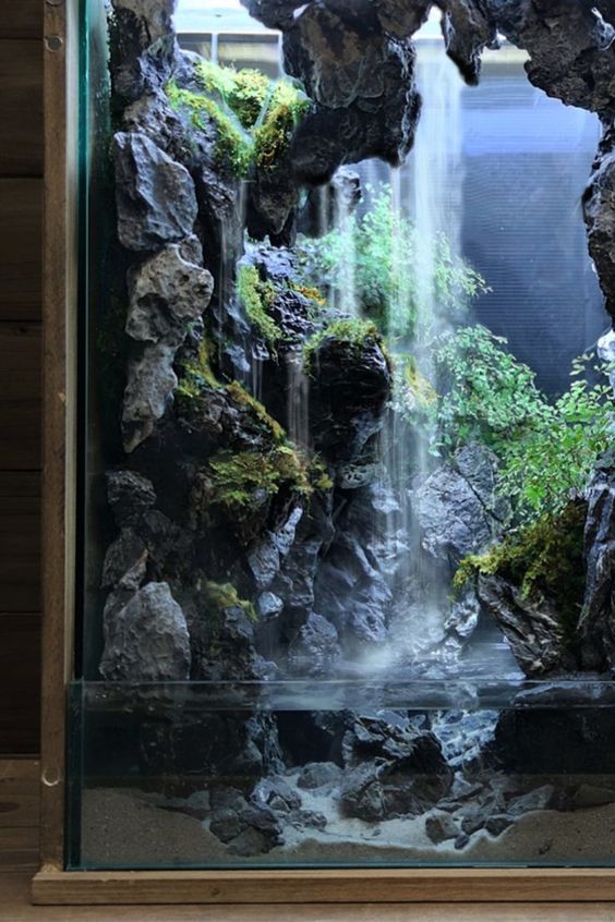 an aquarium filled with rocks and water