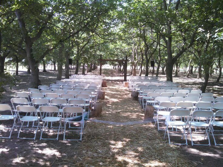 rows of white folding chairs sitting in the middle of a forest