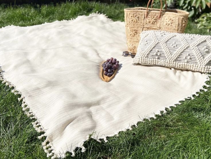 a picnic blanket with grapes on it and two wicker baskets in the back ground