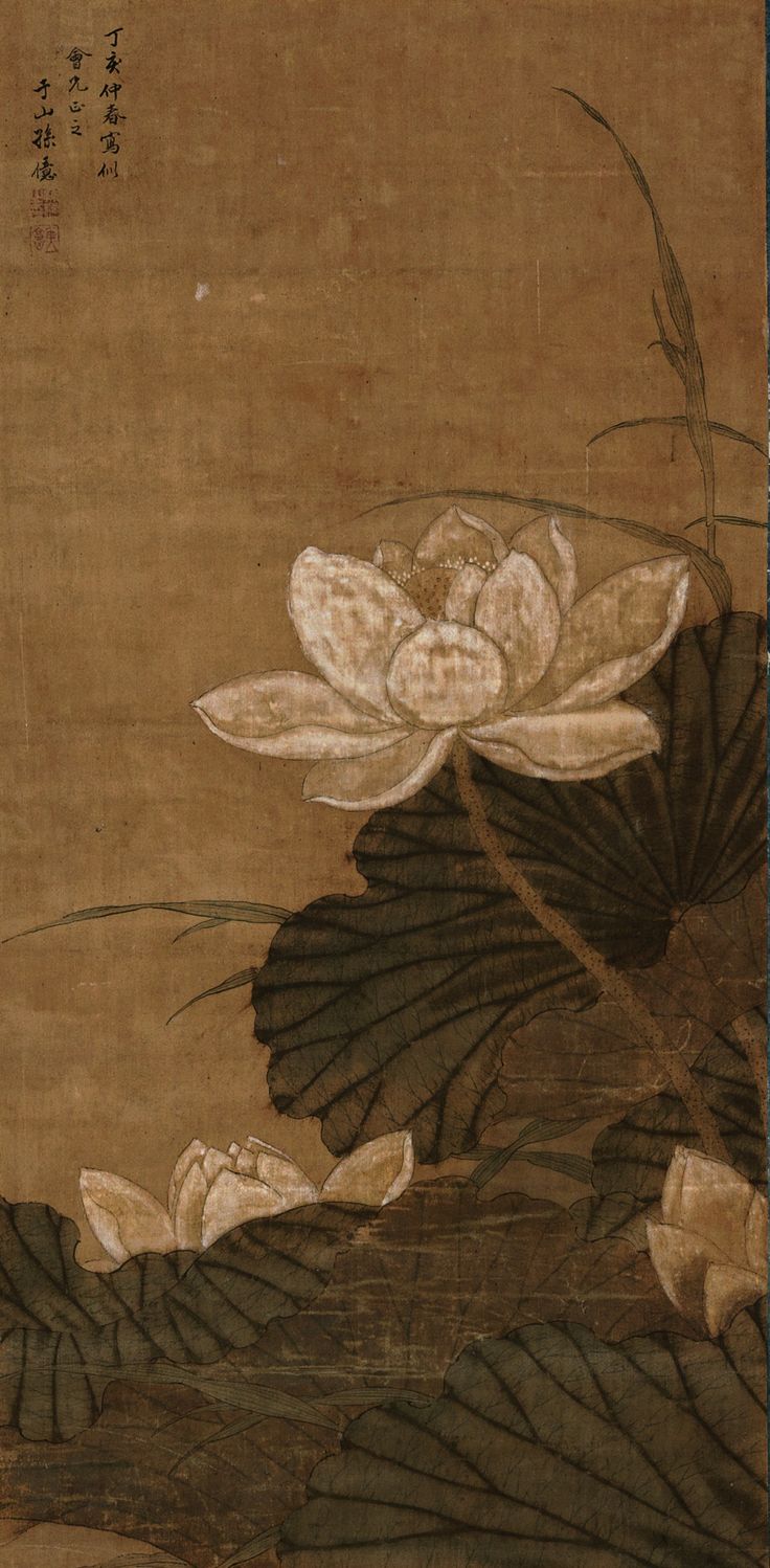 sun, yi lotus ||| flowers & birds ||| sotheby's n10114lotb9txcen Lotus Flower Poster, Aesthetic Lotus Wallpaper, Lotus Aesthetic Art, Lotus Flower Aesthetic Wallpaper, Lotus Wallpaper Aesthetic, Brown Flower Background, Lotus Flower Aesthetic, Lotus Flower Background, Aesthetic Lotus