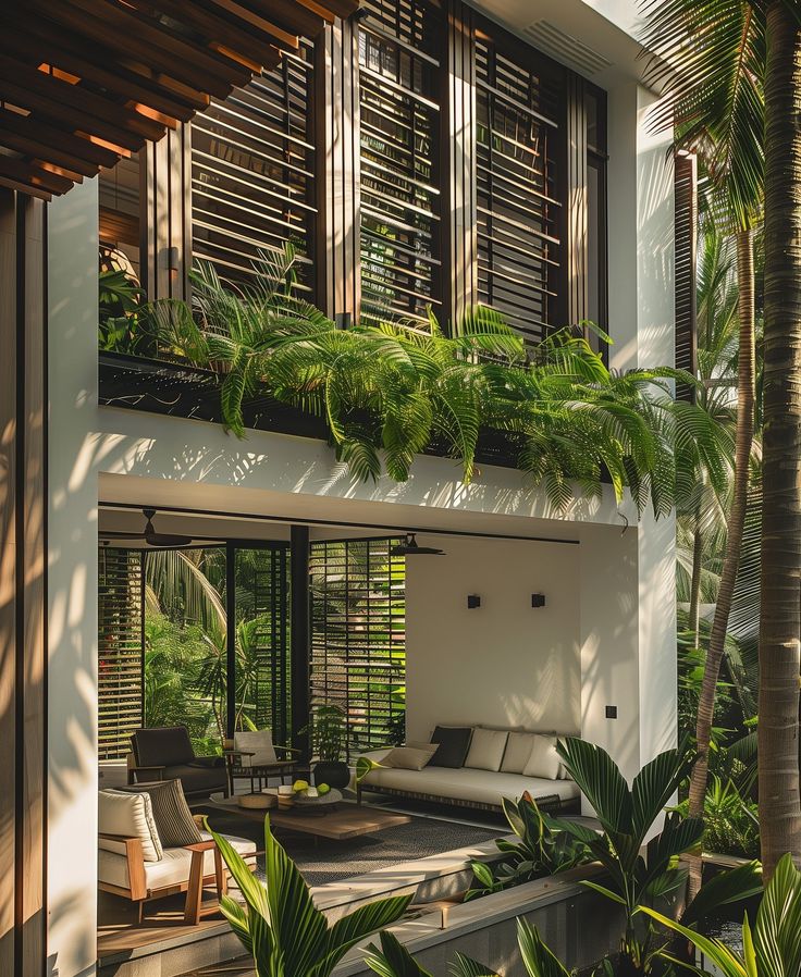 an outdoor living area with couches and plants on the outside wall, surrounded by palm trees