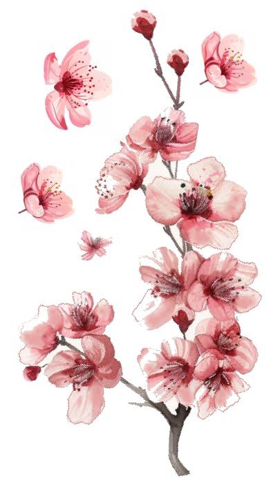 watercolor painting of pink flowers on white background