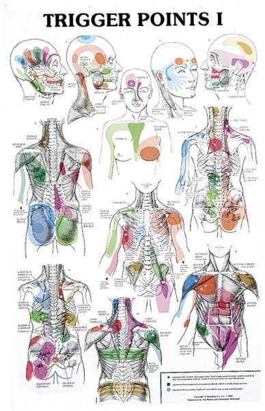 Have you ever wondered if you headaches are coming from your Jaw? Try Reverse Trigger Pointing at http://www.massagebusinessmethods.com/ Punkty Spustowe, Reflexology Chart, Trigger Point Therapy, Reflexology Massage, Body Map, Trigger Point, Trigger Points, Massage Techniques, Alternative Health