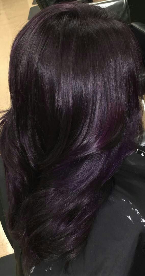 Purple Hair Highlights On Brown Hair, Black Hair With Dark Purple Highlights, Black Plum Hair Color, Black Hair With Purple Tint, Different Hair Color Styles, Plum Curly Hair, Purple Highlights On Black Hair, Purple Hair Colour Ideas, Black Hair With Purple Highlights