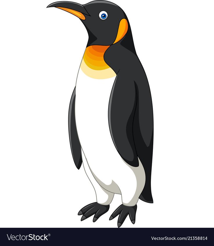 a penguin standing on its hind legs with an orange and black beak, looking to the side