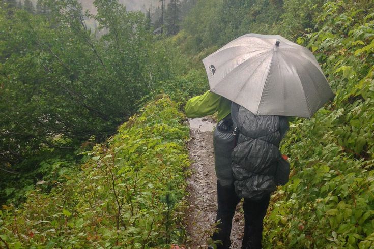 a person with an umbrella walking down a path in the woods on a rainy day