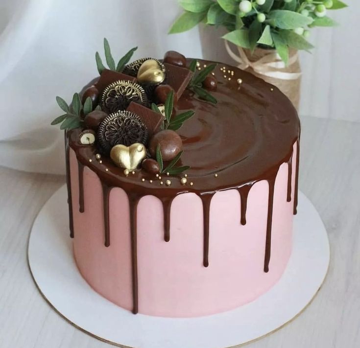 a pink and chocolate cake sitting on top of a white plate next to a potted plant