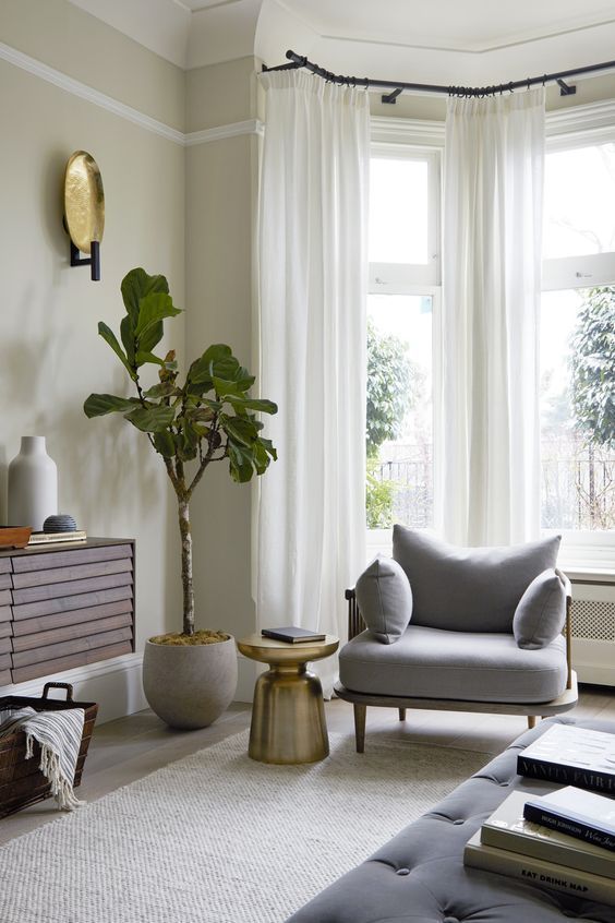 a living room filled with furniture and a potted plant