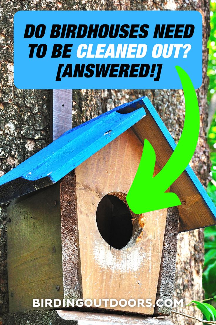 a birdhouse with the words do birdhouses need to be cleaned out? answered