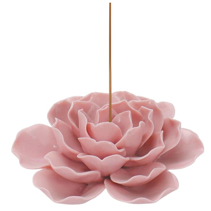 a pink flower with a gold stick sticking out of it's center, in front of a white background