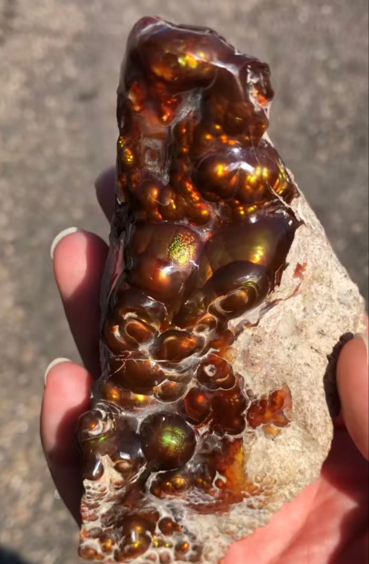 Fire Agate Fire Agate Crystal, Fire Agate Jewelry, Fire Agate Ring, Gem Hunt, Gem Silica, Rocks And Fossils, Crystal Vibes, Crystal Aesthetic, Pretty Rocks