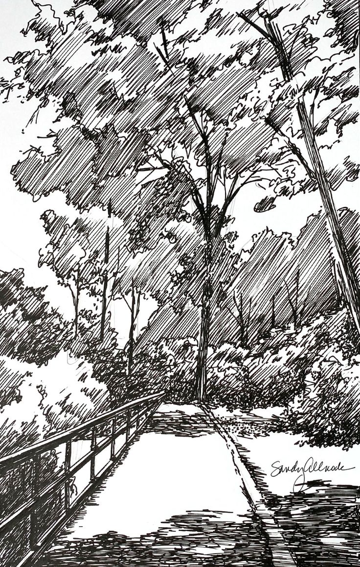 a black and white drawing of trees on a path