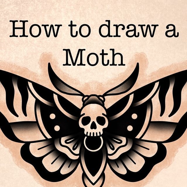 a drawing of a moth with the words how to draw a moth