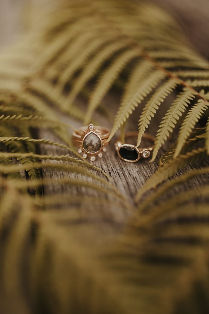 two gold rings sitting on top of a fern leaf next to another ring with black stones