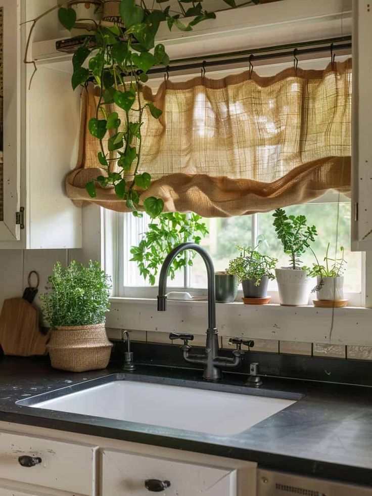 a kitchen sink sitting under a window next to a window sill with potted plants on it