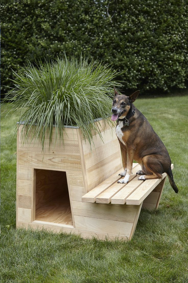 a dog sitting on a wooden bench with a planter in it's lap