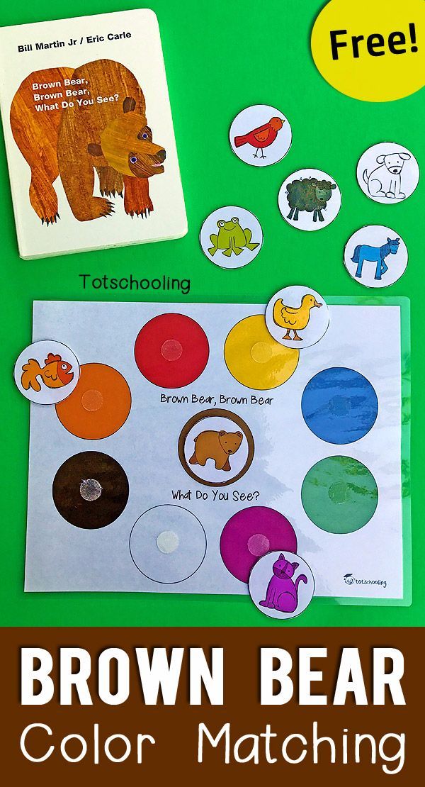 the brown bear color matching game is shown on a green table with stickers and other items