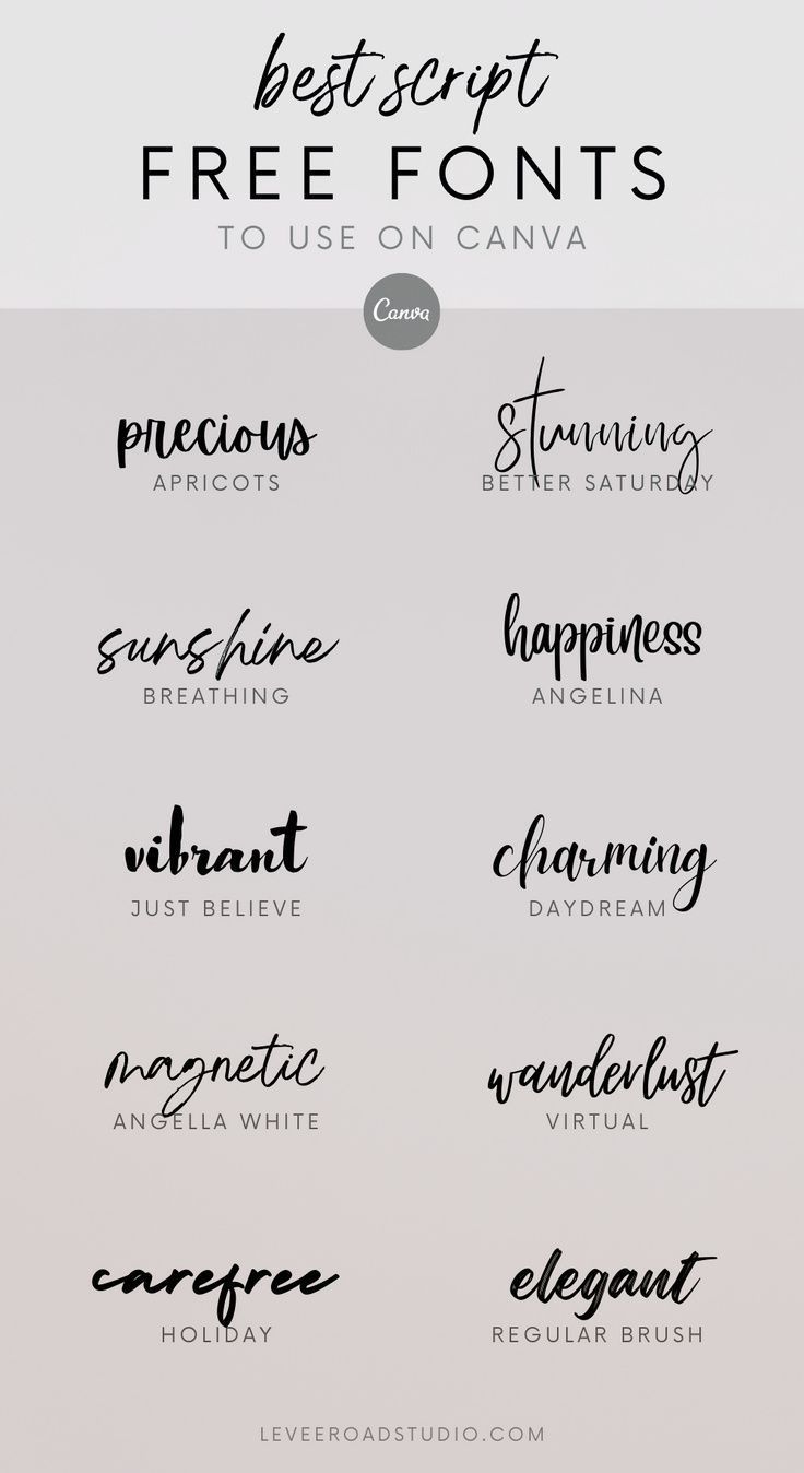 the 25 best free font styles to use on canva's website, including cursive and handwritten