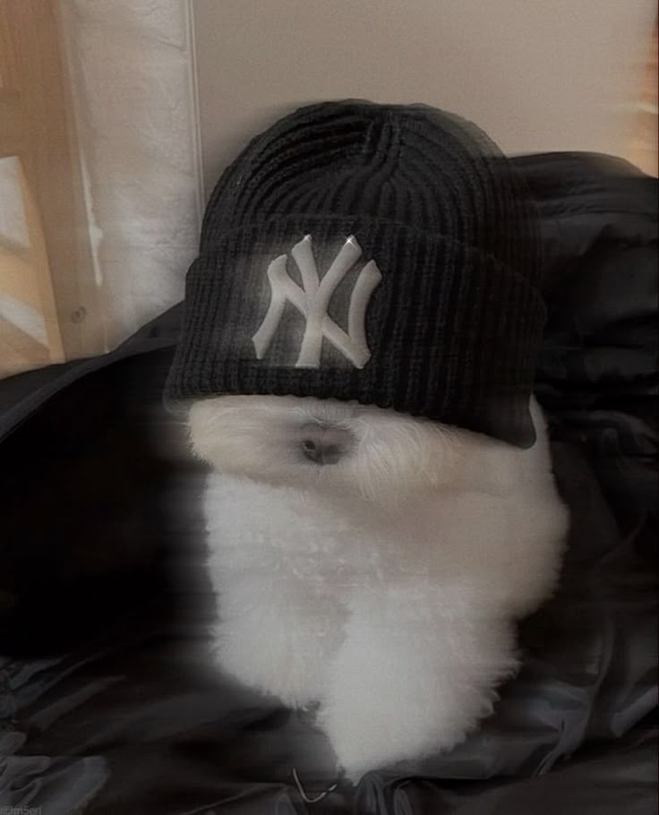 a black hat with a white ny yankees logo on it sitting on top of a jacket