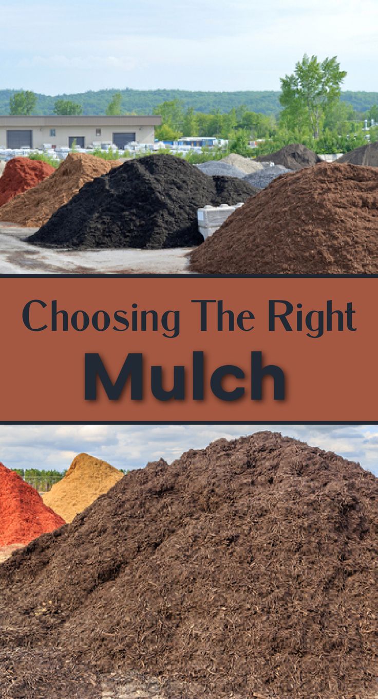 piles of different mulch Brick Herb Garden Ideas, Mulch Landscaping Ideas Around House, Flower Bed Mulch Ideas, Natural Mulch Landscaping, Landscaping Mulch Ideas, Dark Brown Mulch Landscaping, Mulch Colors Curb Appeal, Alternatives To Mulch Landscaping, Best Mulch For Landscaping