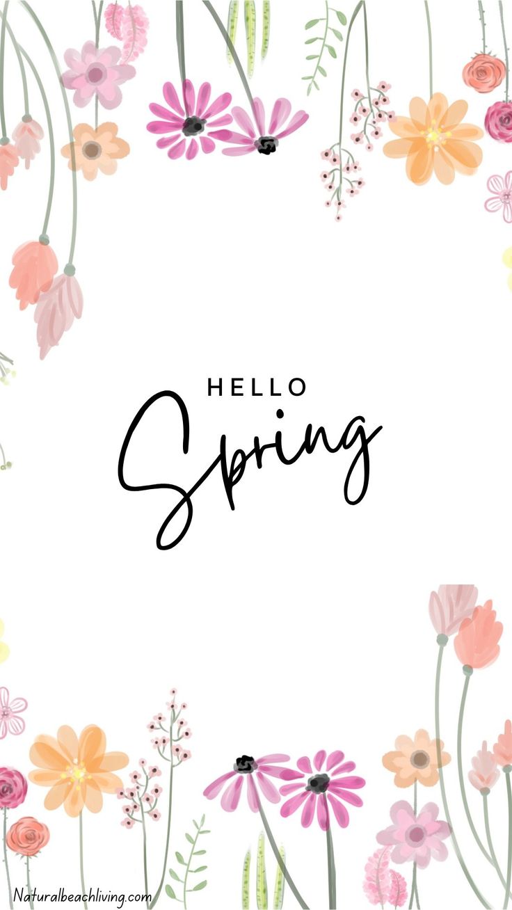 the words hello spring are surrounded by colorful flowers