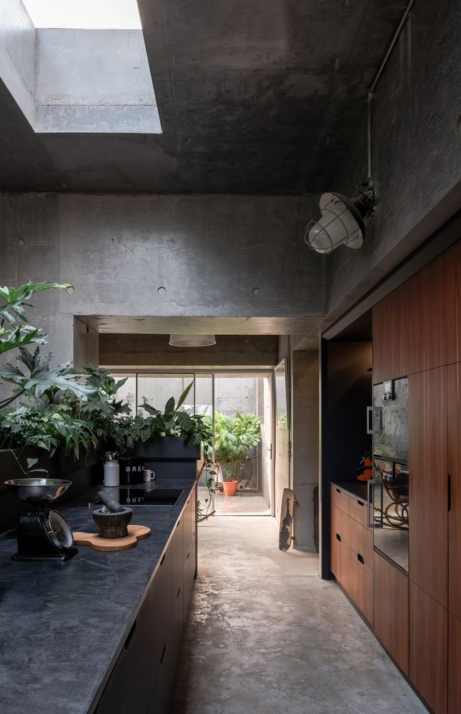 the kitchen is very narrow and has plants in pots on the counter top, along with an open floor plan