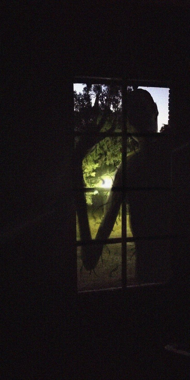 the silhouette of a person is seen through an open window