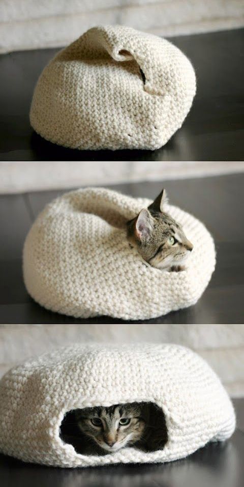 an image of a cat laying on top of a beanie with the caption's name in russian