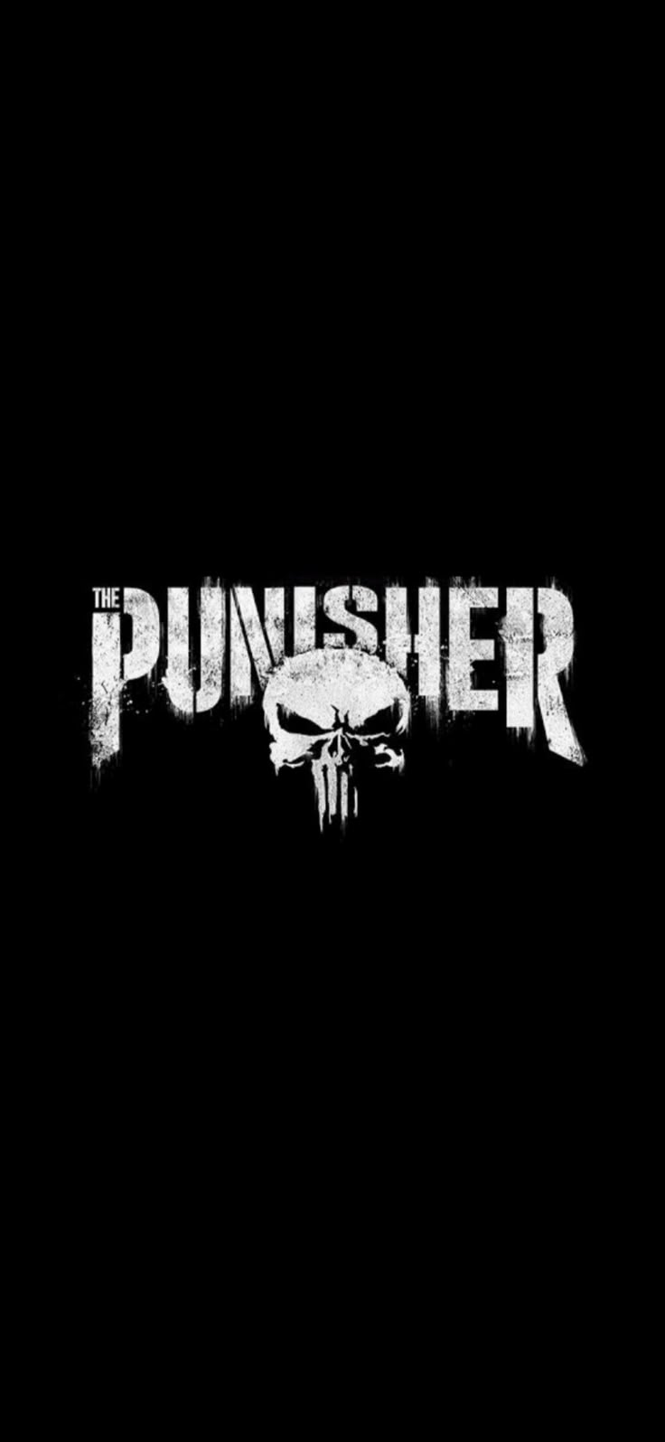 the punisher logo on a black background