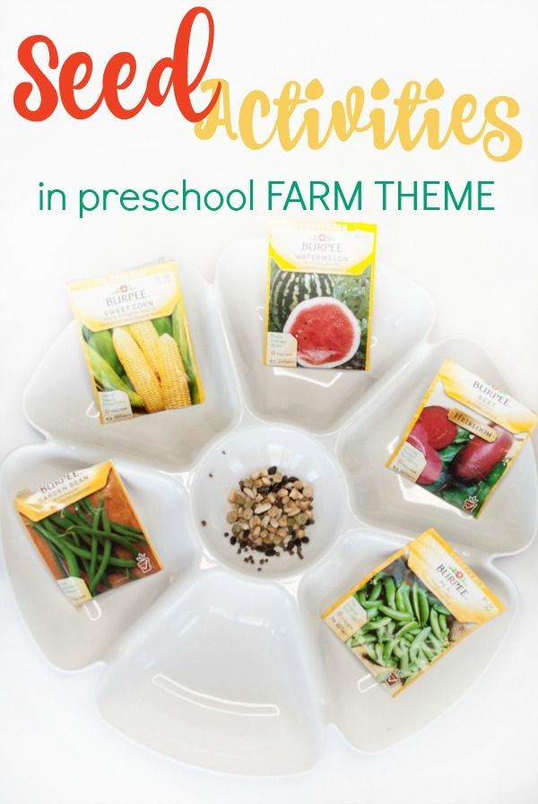 seed activities in preschool farm theme with text overlay that reads, seed activities in preschool farm theme