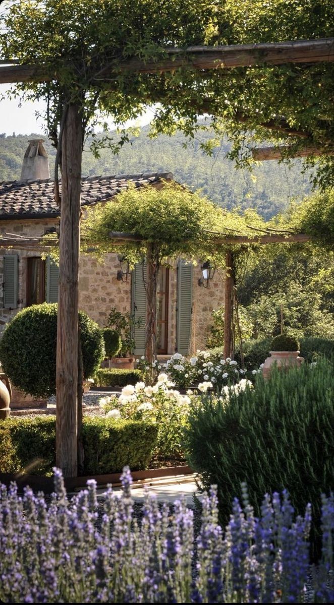 an outdoor garden with lavender flowers and trees