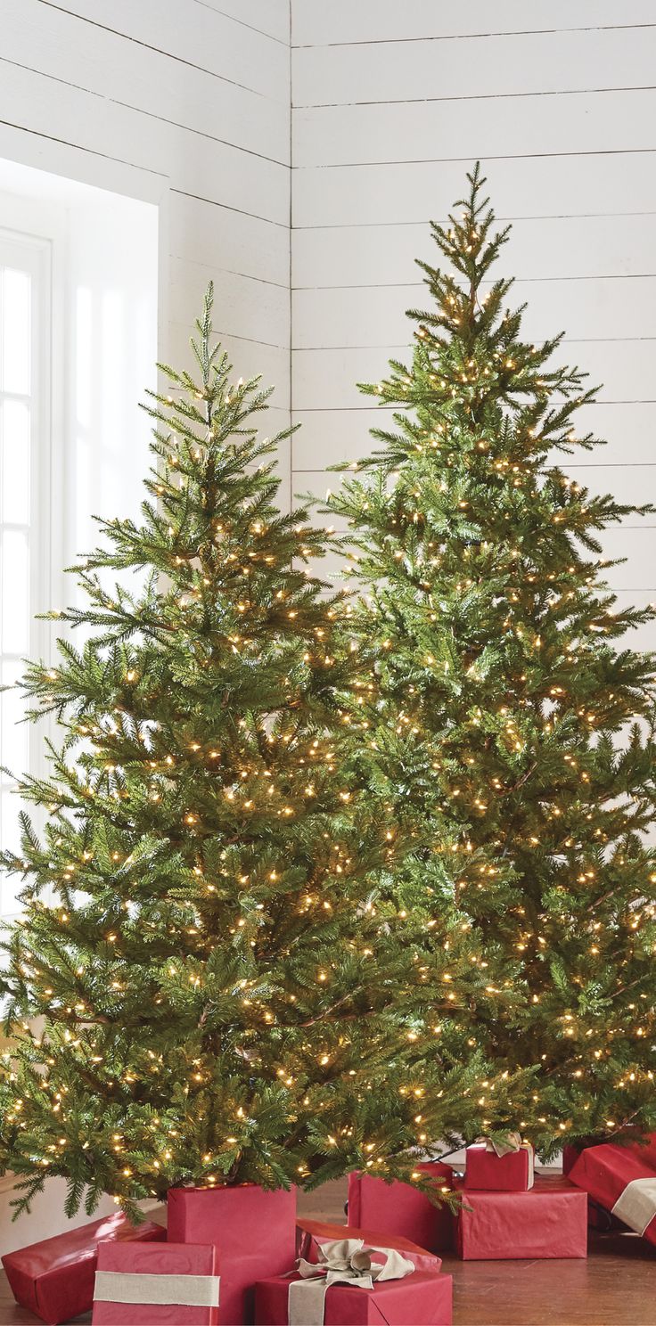 two christmas trees with presents under them in front of white walls and wood flooring