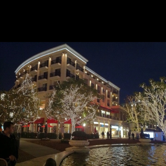 people are walking around in front of a building with christmas lights on the trees and water