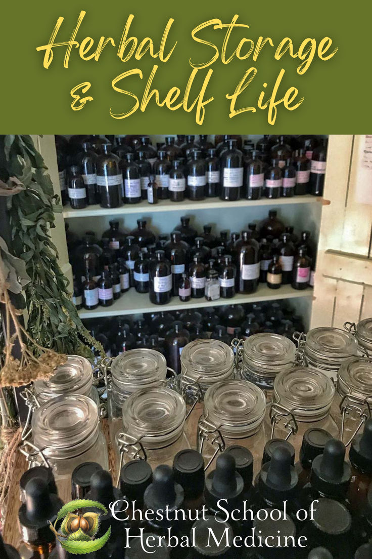 several jars with herbs in them and the words, herb storage & shelf life chestnut school of herbal medicine