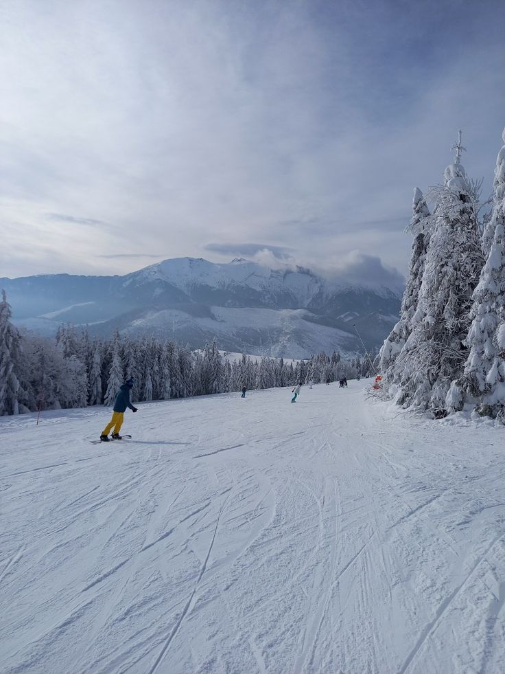 skiers are skiing down a snowy mountain slope with trees in the foreground and snow covered mountains in the background