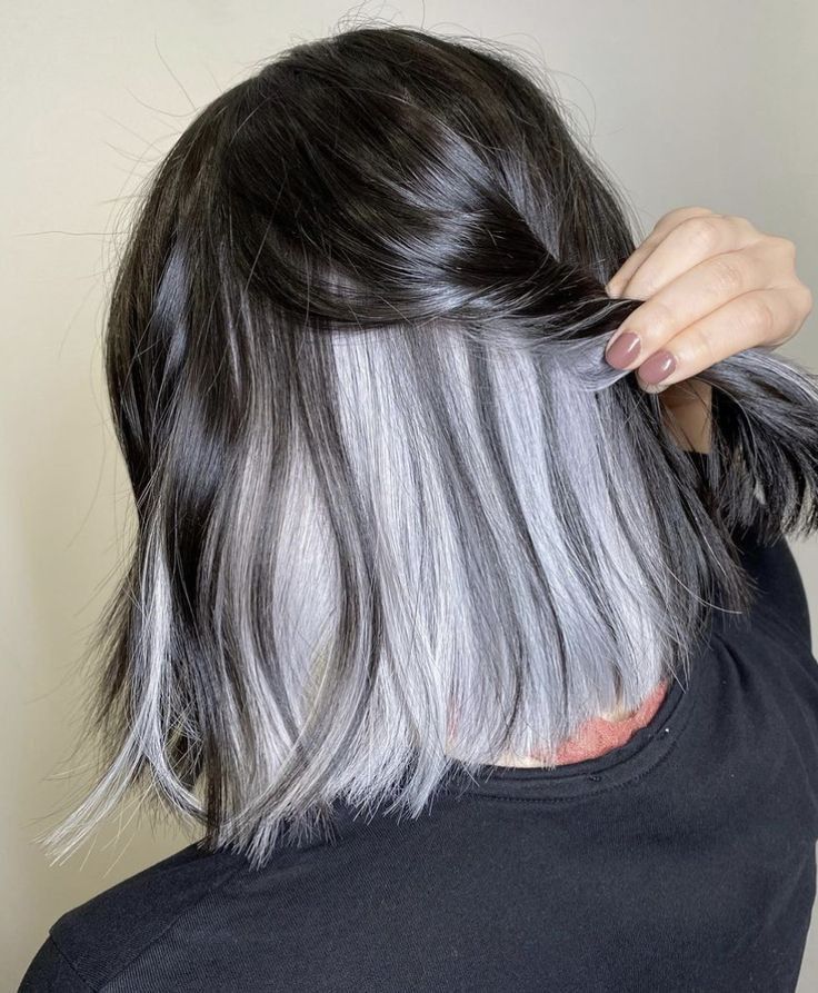 Under Hair Color, Black And Silver Hair, Under Hair Dye, Hair Dyed Underneath, Hidden Hair Color, Peekaboo Hair Colors, Hair Dye Tips, White Hair Color, Hair Color Underneath