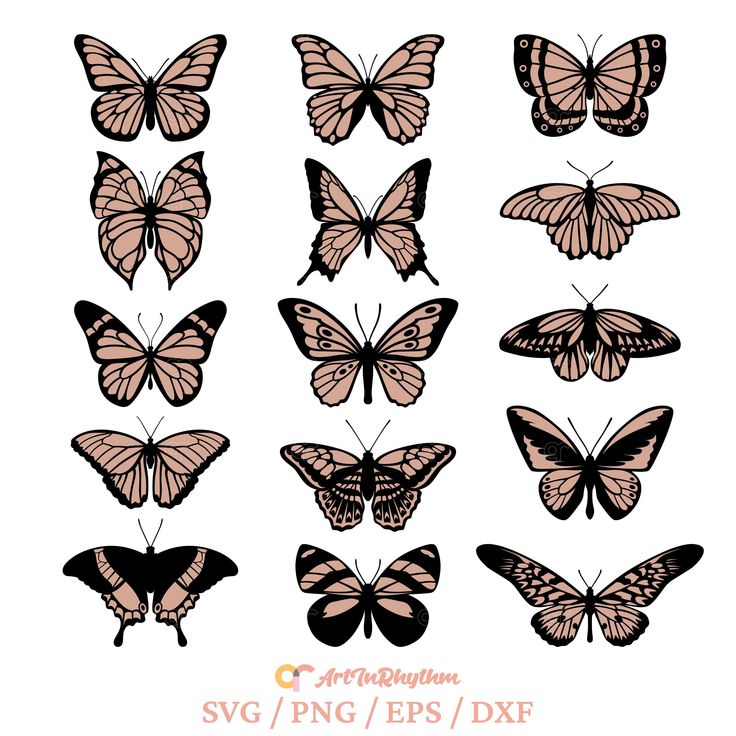 a collection of butterflies with different shapes and sizes, all in black and pink colors