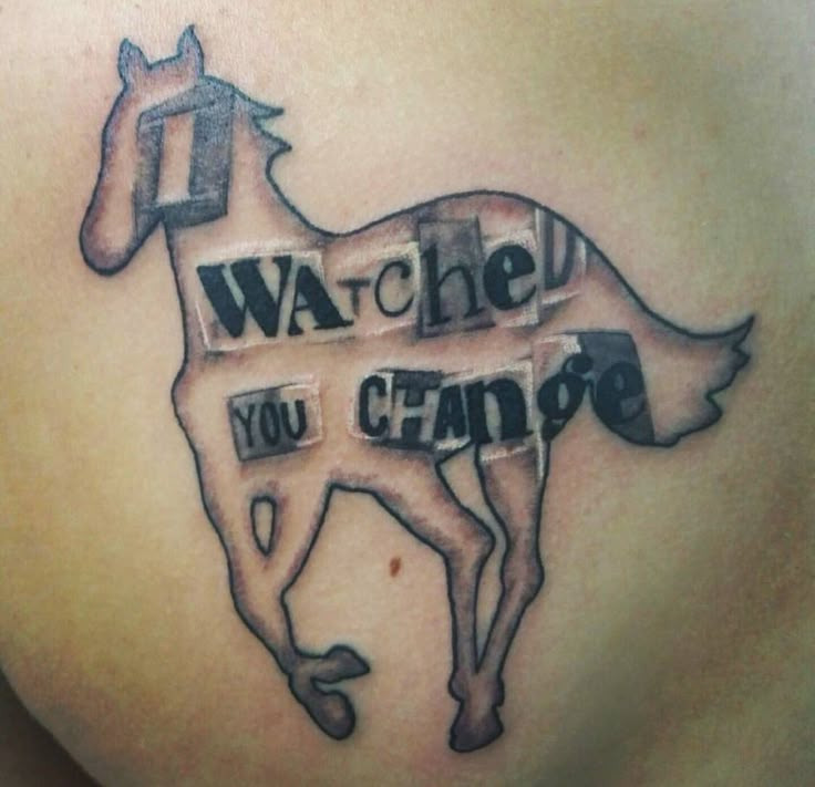 a woman's stomach with the words watch you change on it and a horse