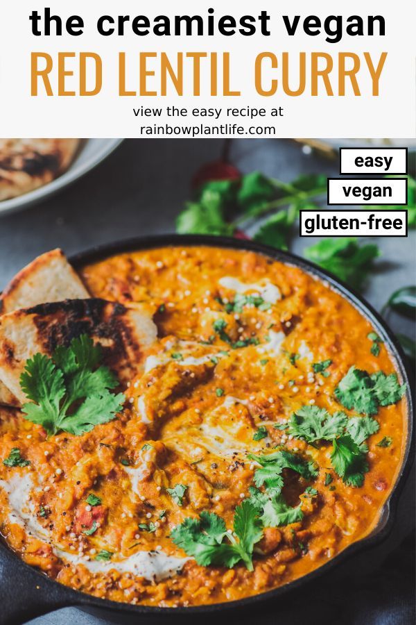 an image of a bowl of red lentil curry