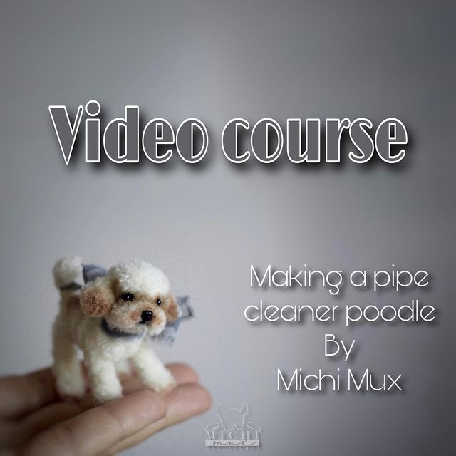 a hand holding a tiny white dog in it's right hand and the words video course above it