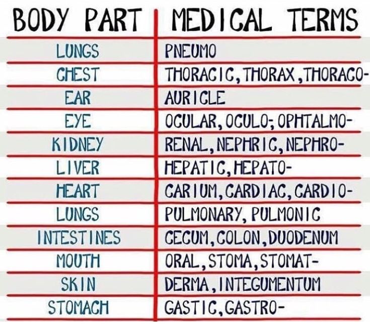 the body part medical terms are written in red and blue on a white background